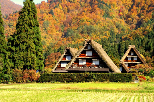 【本州阿尔卑斯】本州阿尔卑斯双温泉6日游B线