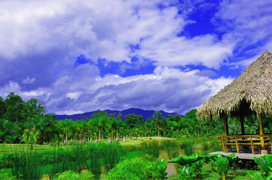 【版纳壹号】昆版三飞六日 当五+升级一晚希尔顿