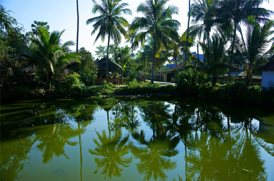 【傣乡情】昆版三飞六日 超五酒店
