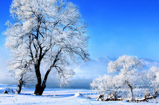 【神泉雪域】呼伦贝尔，神泉雪域阿尔山双飞5日游	