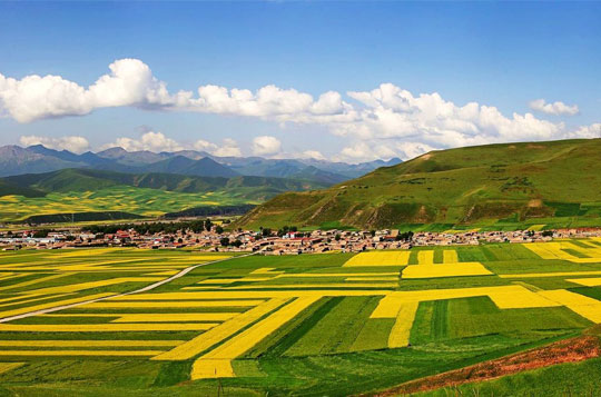 【臻品纯玩】拉萨+林芝+鲁朗+大峡谷+羊卓雍措卧飞 9日	