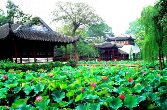 <苏州园林A线1天> 纯玩